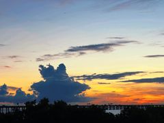 -宝安西湾红树林湿地公园