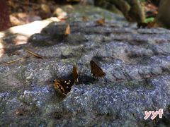 -山沟沟景区
