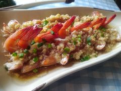 -胡桃里音乐酒馆(罗湖HALO广场店)