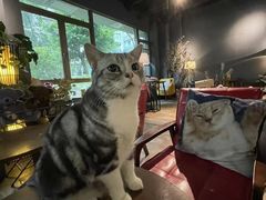 -咖法森林·咖啡  酒吧(天河店)