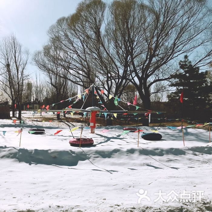 朝陽公園亞布洛尼滑雪場