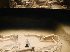 -洛阳周王城天子驾六博物馆