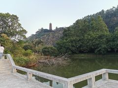 -南沙蒲洲花园