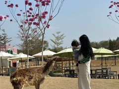 -盈香心动乐园