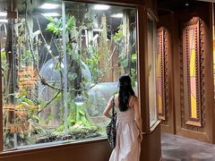 -帕帕拉兹宠物(亚洲旗舰店)