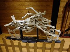-信不信由你博物馆