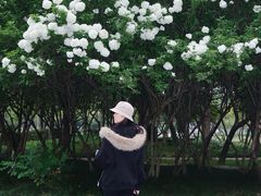 -蠡湖大桥公园
