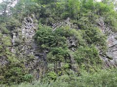 景点-望天鹅景区