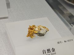 -湖南省地质博物馆