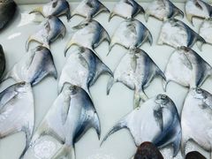 -王四营海鲜市场