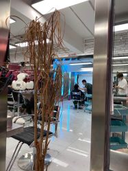 -P.STYLE 派斯造型