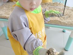 -怪兽屋·羊驼·猫咖·狗咖(俊华广场店)