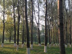 -东郊湿地公园