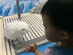 -成都浩海立方海洋公园