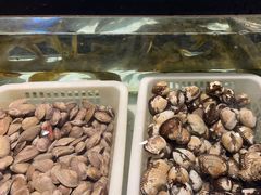-海吃海喝海鲜烤肉炭火主题自助餐(朝阳店)