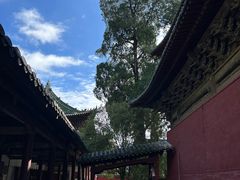 -报恩寺(平武县)