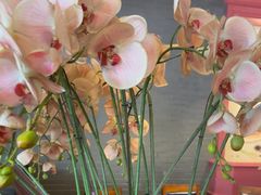 -八府香鸭·啫啫煲(华山路店)