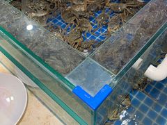 水产区-牛道烤肉海鲜自助
