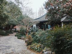 -秋霞圃