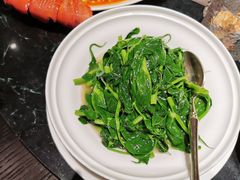 豌豆尖-甄御•海鲜新青岛菜(麦岛店)