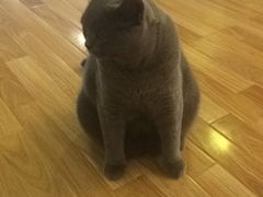 -壹人壹像工作室(购物公园店)
