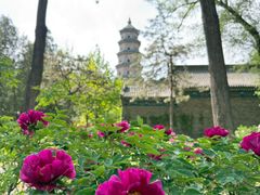 -晋祠公园