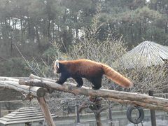 -沈阳森林动物园