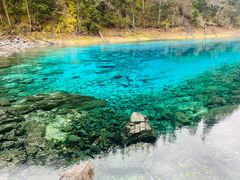 -如意林卡藏餐吧 (九寨沟店)