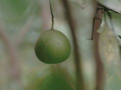 -杭州城北体育公园