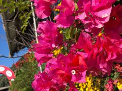 -优游吧斯邹族文化部落