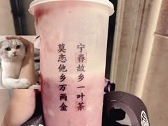-眷茶(赛格国际购物中心店)