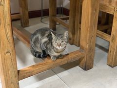 -木萨火锅店(开鲁路店)