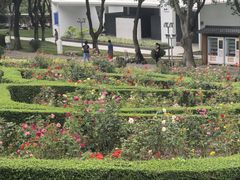 -紫马岭公园