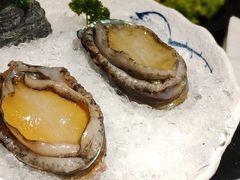活鲍鱼-小椒娘撒椒鱼火锅(三八广场店)