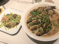 炖黄辣丁-西郊竹园甲鱼面(老一中店)