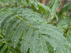 -宁波市保国寺古建筑博物馆