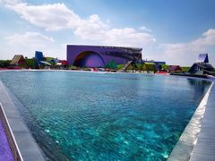 -荷兰花海