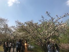 -自然谷恐龙园