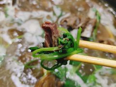 -老诚一锅羊蝎子(垡头店)