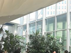 -大树餐厅(红旗街万达店)