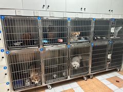 -西安京西宠物医院·瘫痪·疑难杂症