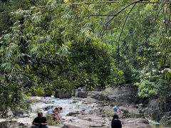 -广州白江湖森林公园