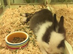 -龙猫仔乐园(惠福东路店)