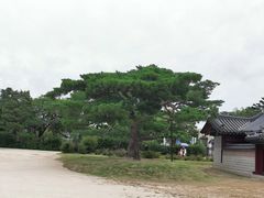 -景福宫
