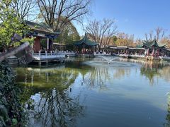 -MAP CHA普洱茶馆(翠湖店)