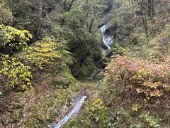 -牛背梁国家森林公园