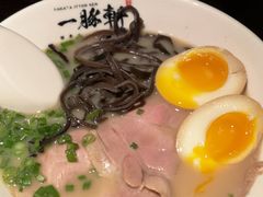 -一豚轩·烧鸟·豚骨拉面(五四路店)