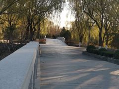 -大兴滨河森林公园