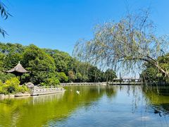 -广州市帽峰山景区