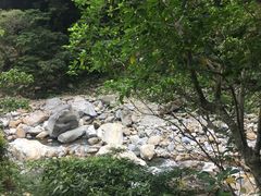 -太鲁阁公园